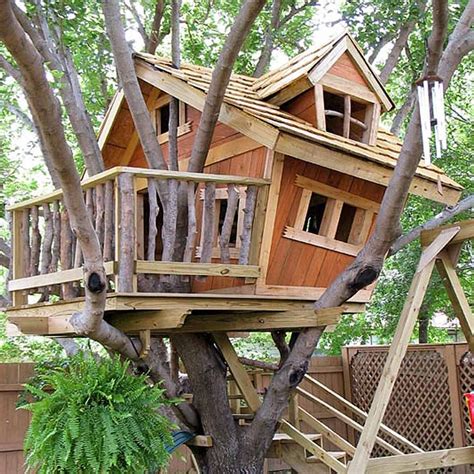 Look at our tree house